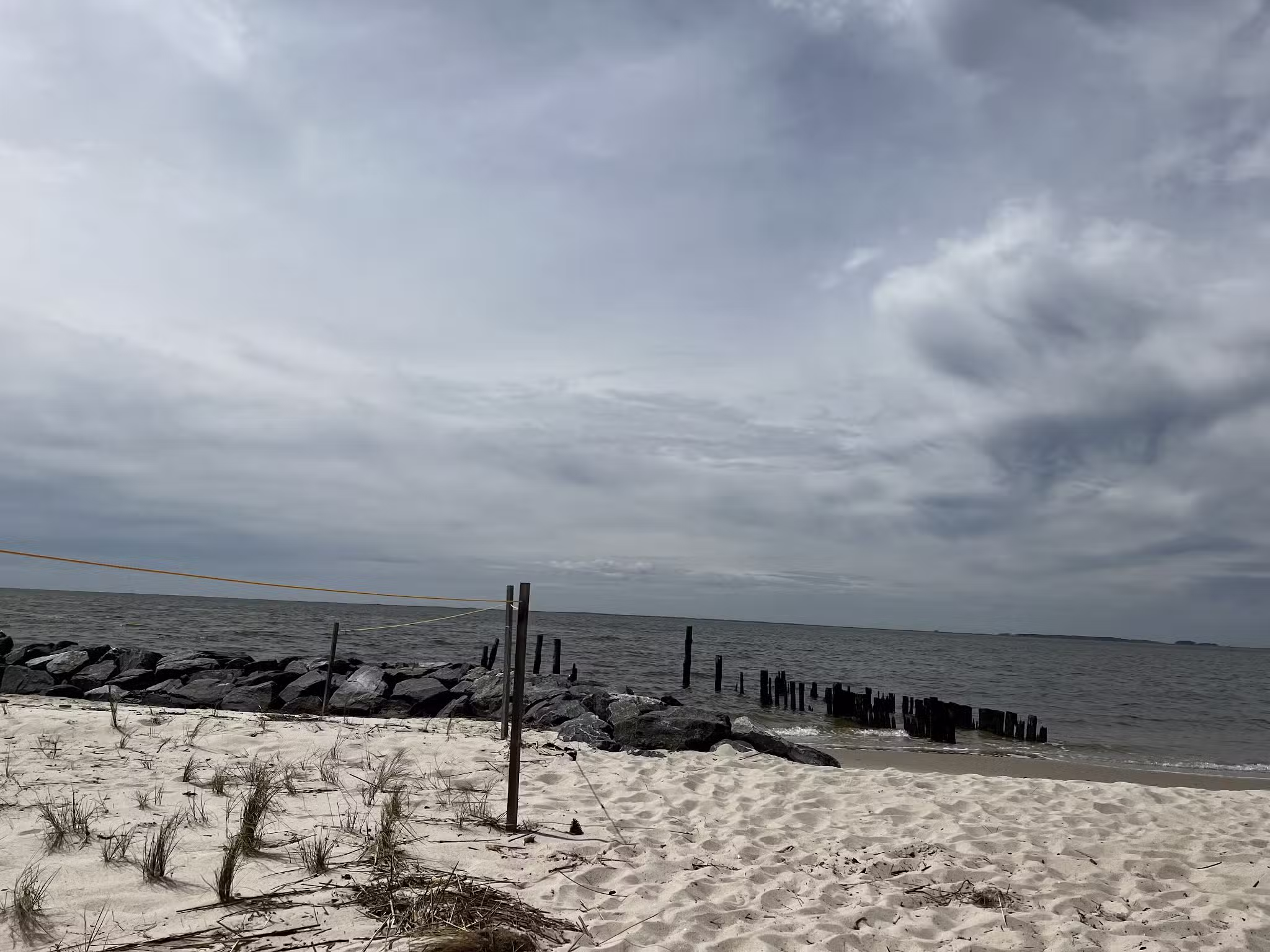 Cove Beach Park - Bivalve, MD