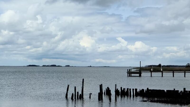 Cove Beach Park - Bivalve, MD