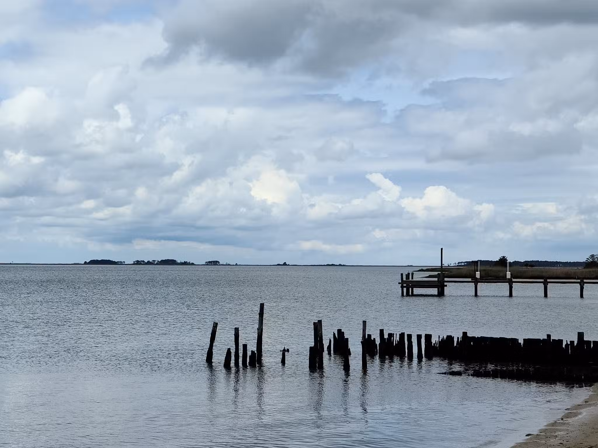 Cove Beach Park - Bivalve, MD