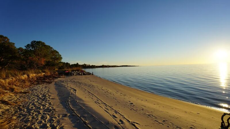 Cove Beach Park - Bivalve, MD