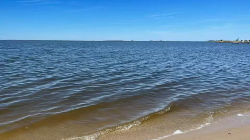 Cove Beach Park - Bivalve, MD