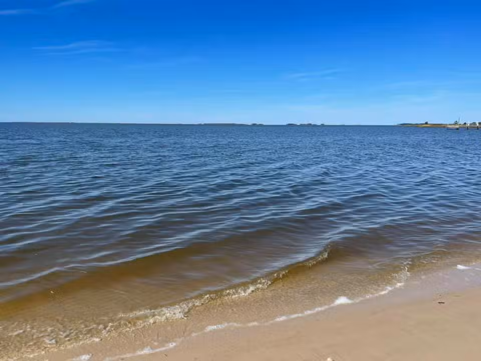 Cove Beach Park - Bivalve, MD