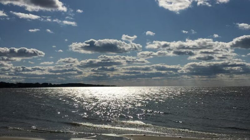 Cove Beach Park - Bivalve, MD