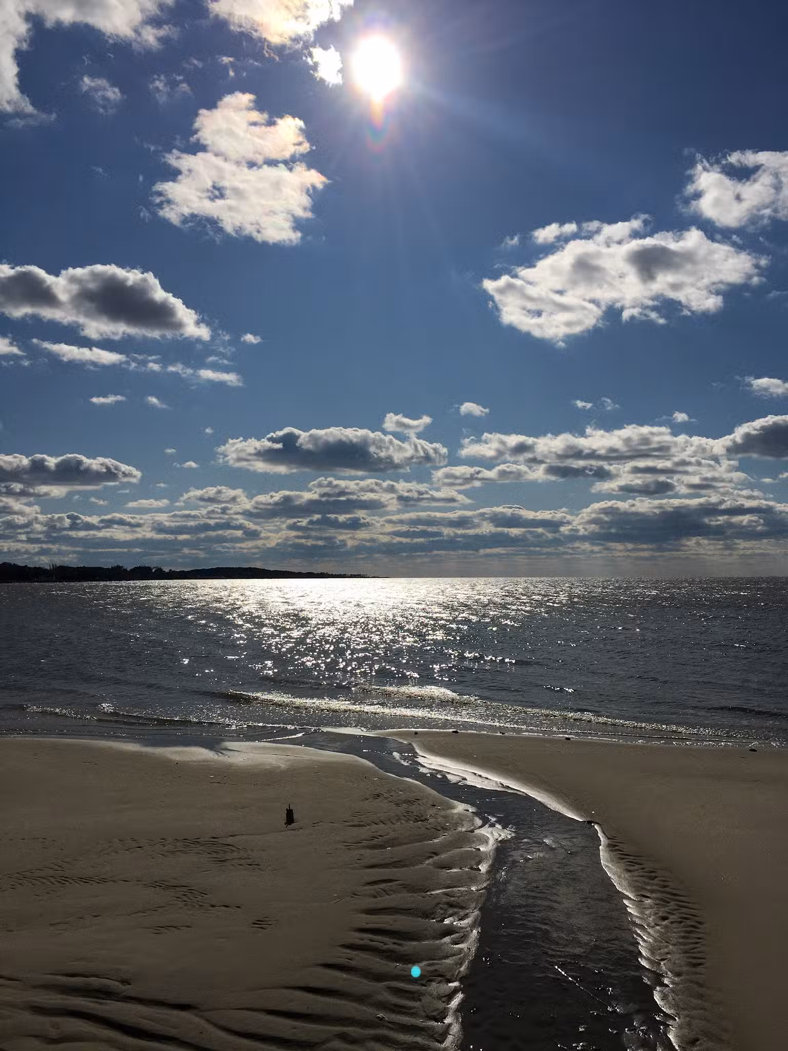 Cove Beach Park - Bivalve, MD