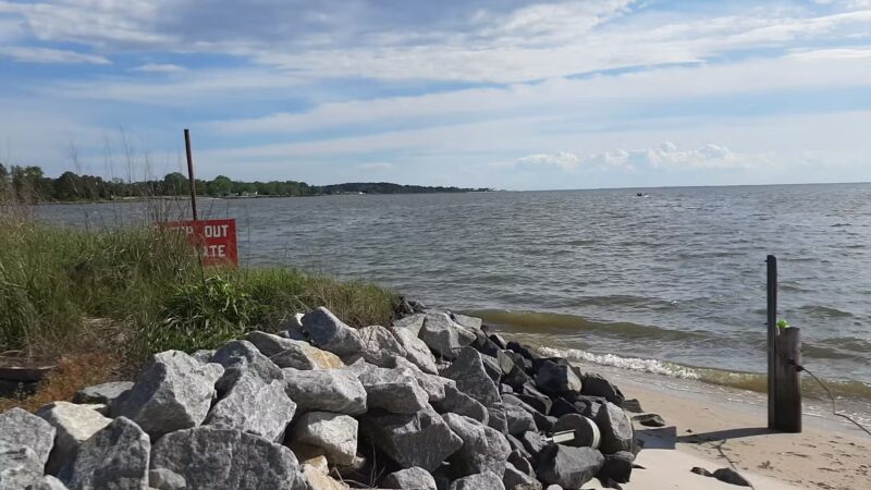 Cove Beach Park - Bivalve, MD