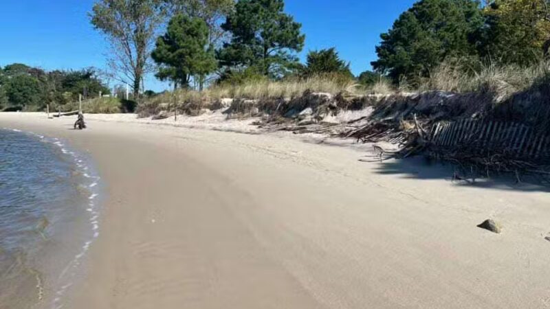 Cove Beach Park - Bivalve, MD