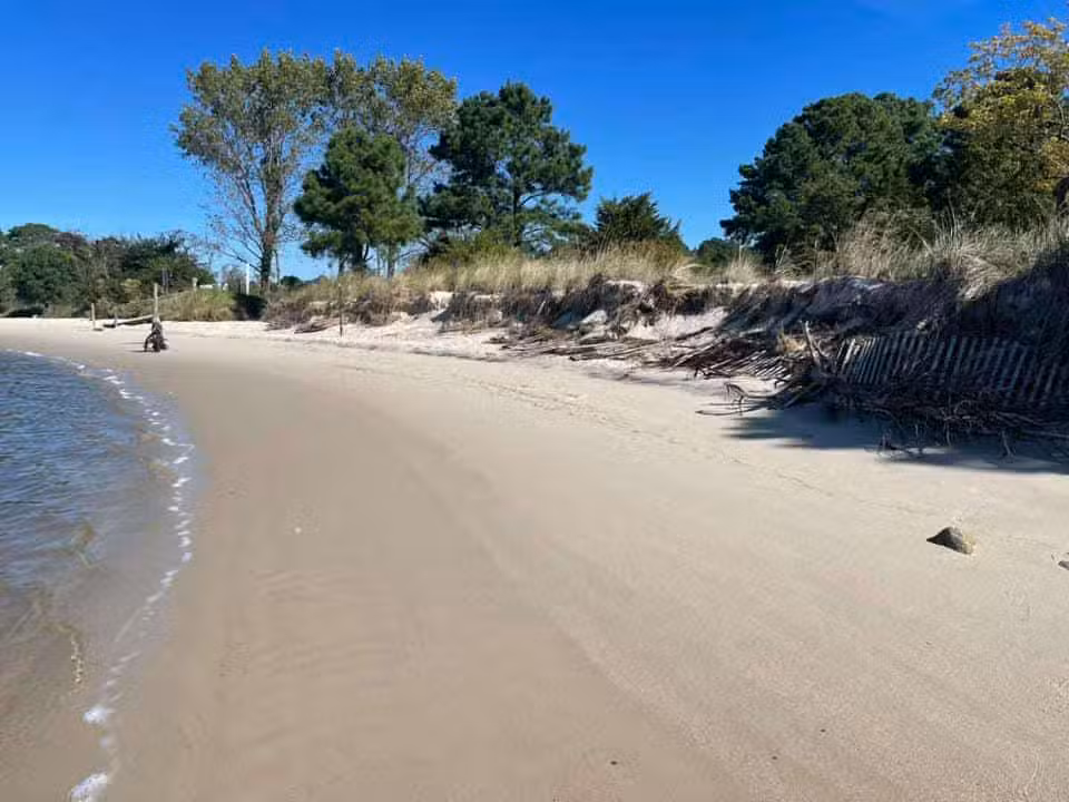 Cove Beach Park - Bivalve, MD