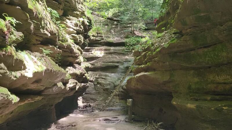 Rocky Hollow Falls Canyon Nature Preserve - Bloomingdale, IN