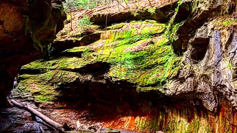 Rocky Hollow Falls Canyon Nature Preserve - Bloomingdale, IN