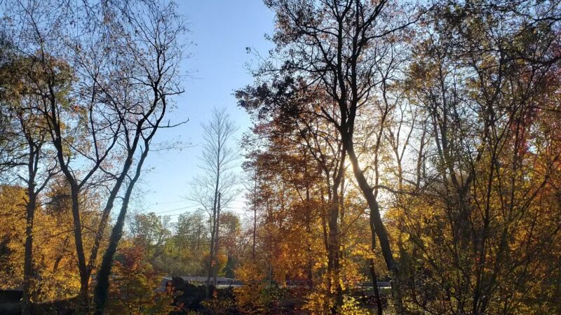 Orenda Park - Boswell, PA