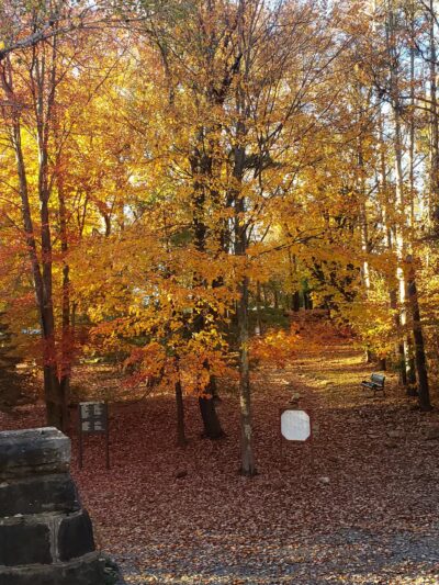 Orenda Park - Boswell, PA