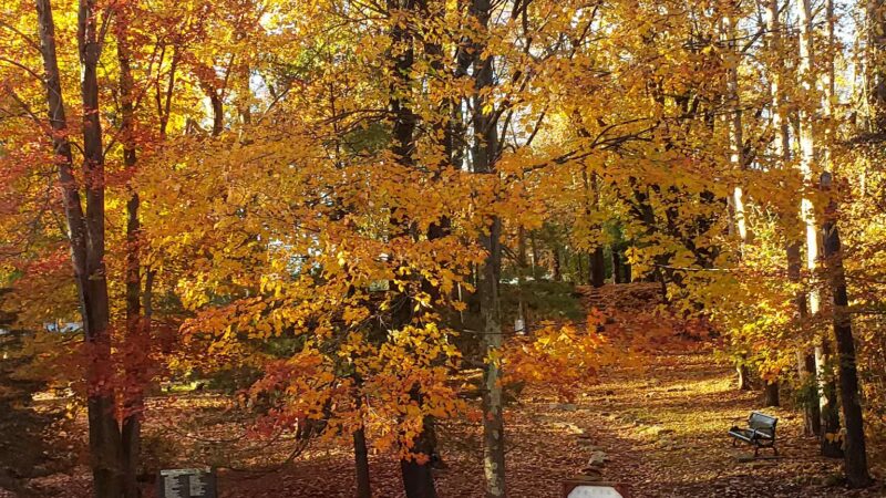 Orenda Park - Boswell, PA