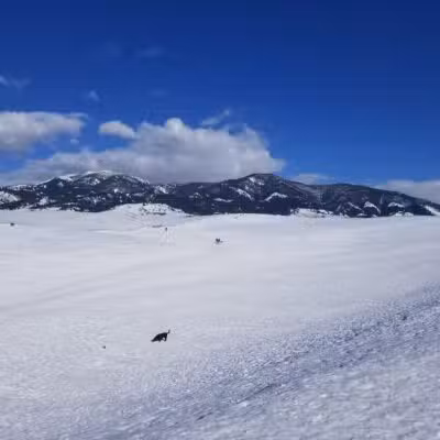 Snowfill Recreation Area - Bozeman, MT