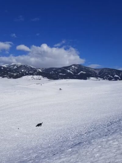 Snowfill Recreation Area - Bozeman, MT
