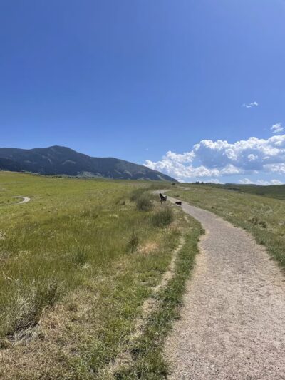 Snowfill Recreation Area - Bozeman, MT