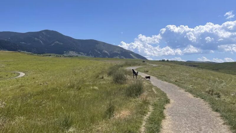 Snowfill Recreation Area - Bozeman, MT