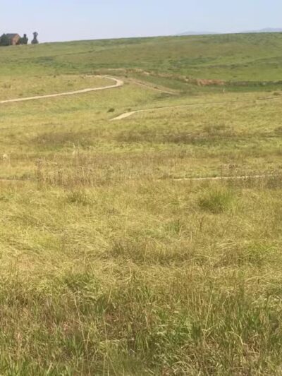 Snowfill Recreation Area - Bozeman, MT