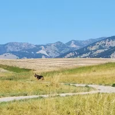 Snowfill Recreation Area - Bozeman, MT