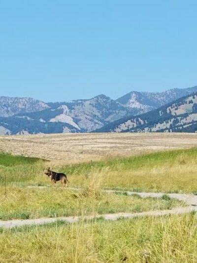 Snowfill Recreation Area - Bozeman, MT
