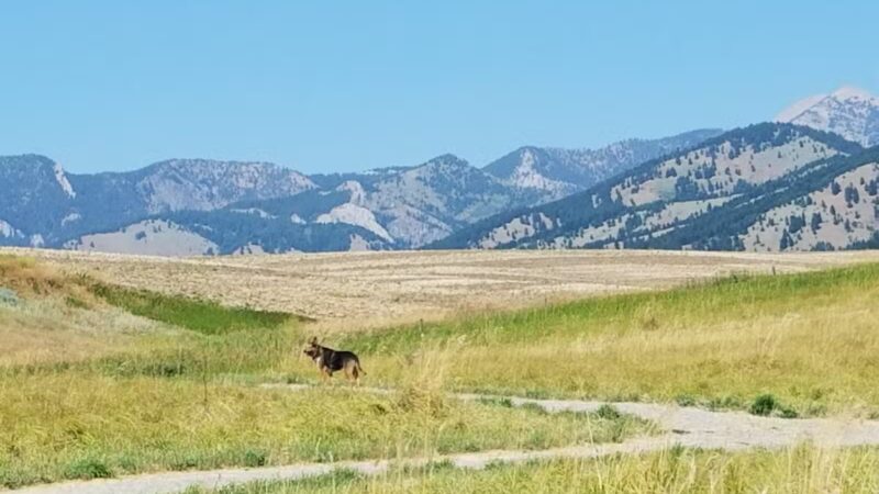 Snowfill Recreation Area - Bozeman, MT