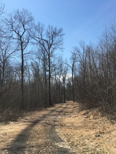 Sideling Hill State Forest Picnic Area - Breezewood, PA
