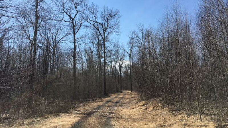 Sideling Hill State Forest Picnic Area - Breezewood, PA