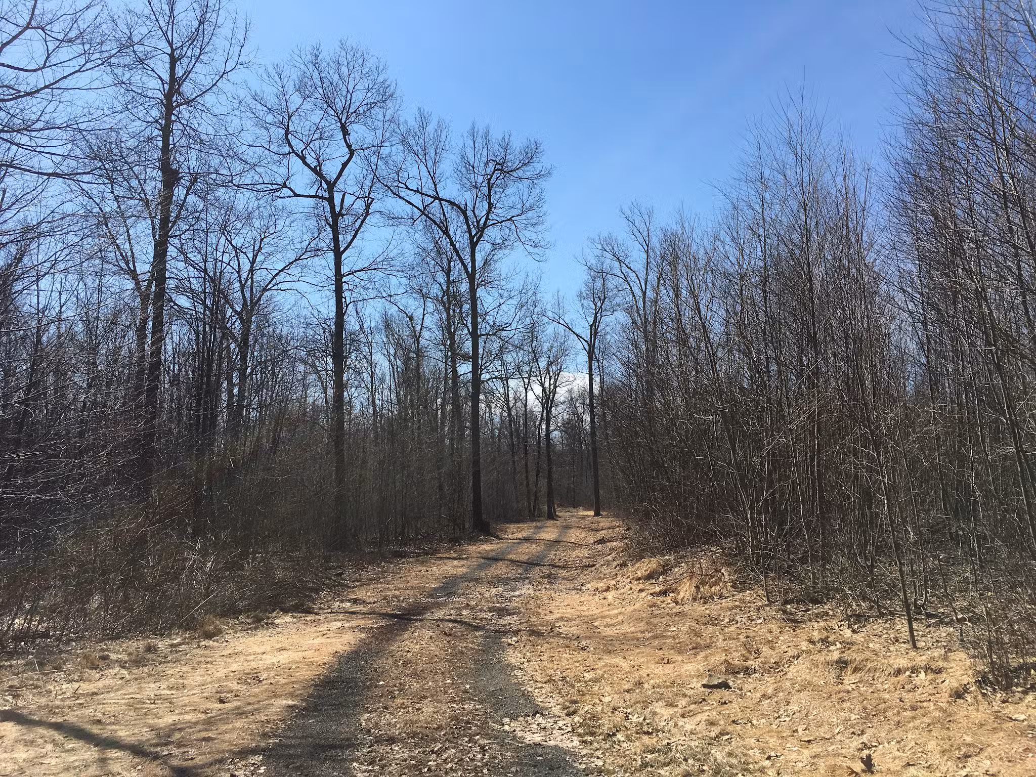 Sideling Hill State Forest Picnic Area - Breezewood, PA