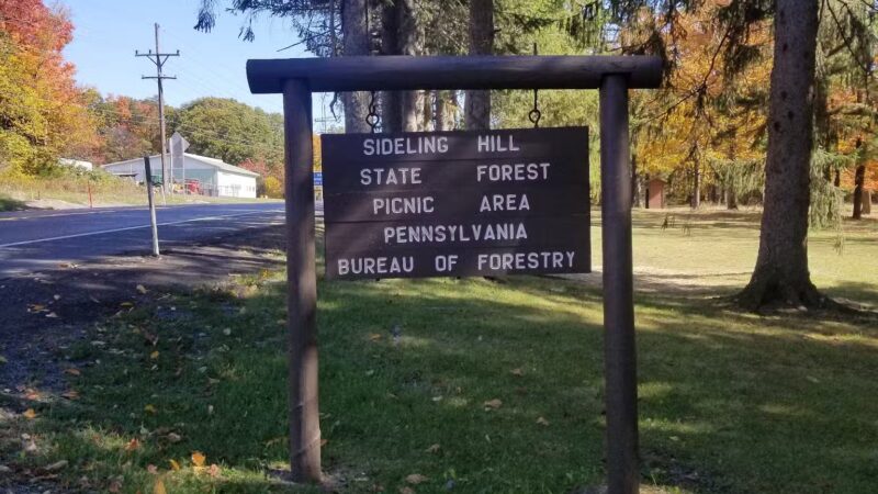 Sideling Hill State Forest Picnic Area - Breezewood, PA