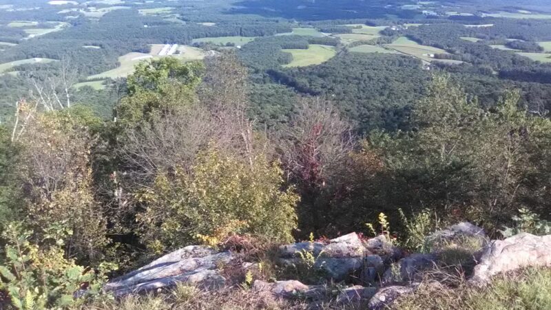 Sideling Hill State Forest Picnic Area - Breezewood, PA