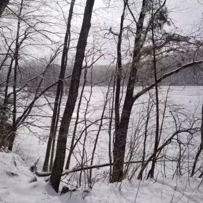 Bridgewater Town Park - Bridgewater, CT