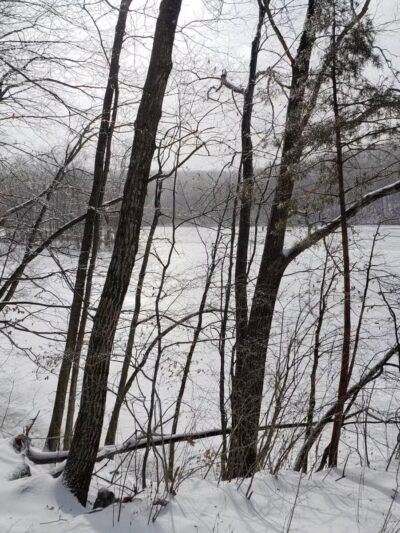 Bridgewater Town Park - Bridgewater, CT