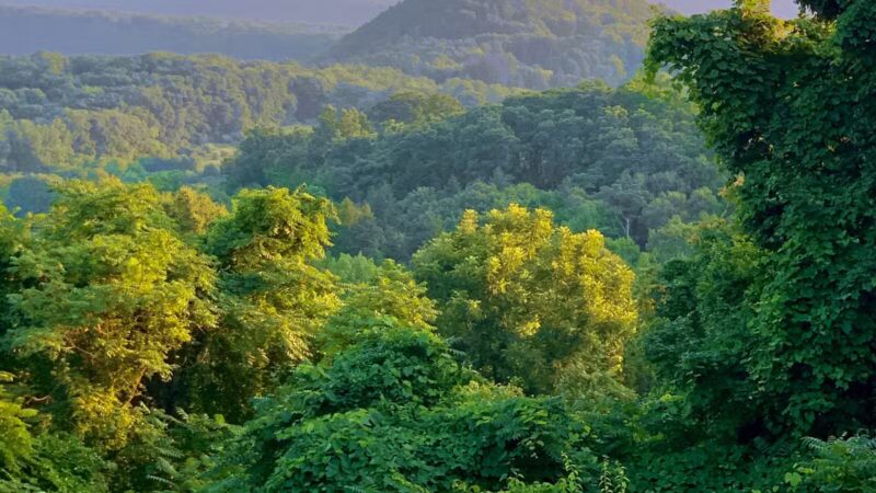 Lover's Leap Lookout - Bridgewater, CT