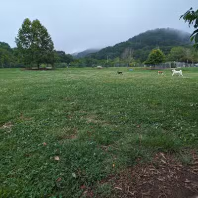 Bark Park - Bristol, TN