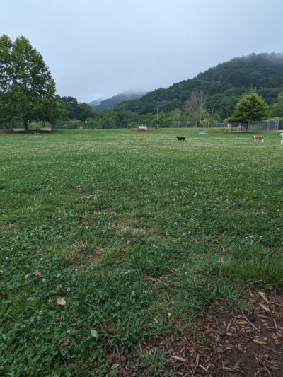 Bark Park - Bristol, TN