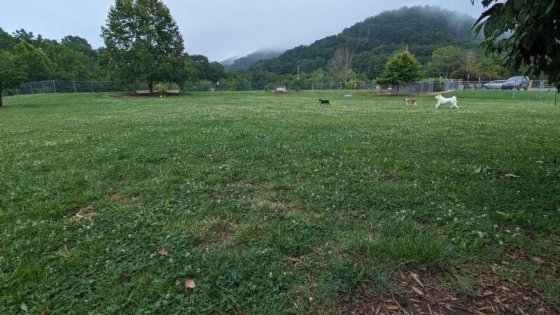 Bark Park - Bristol, TN