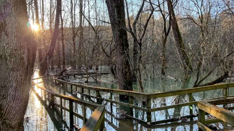 Sugar Hollow Park - Bristol, VA