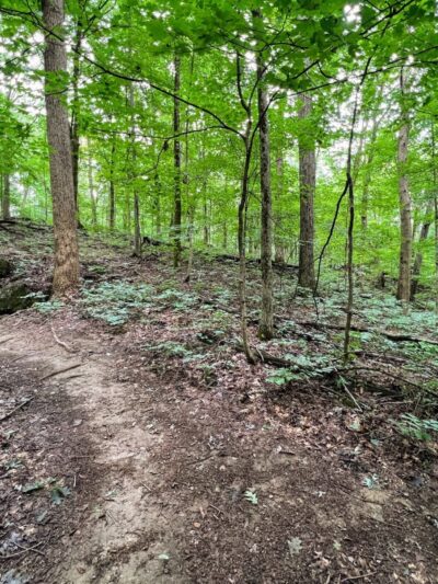 Sugar Hollow Park - Bristol, VA