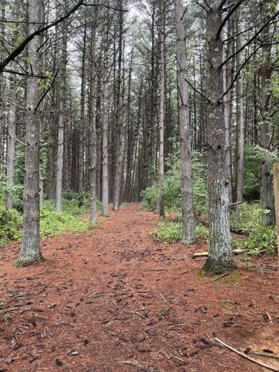 Sugar Hollow Park - Bristol, VA