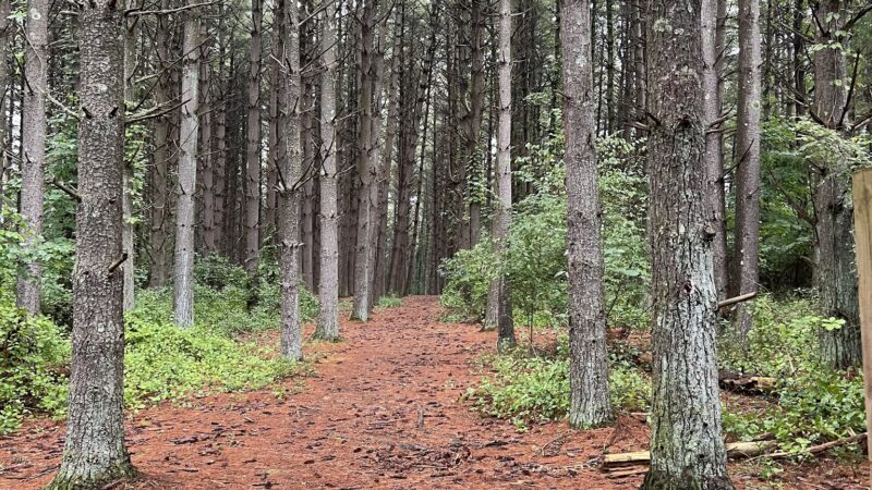 Sugar Hollow Park - Bristol, VA