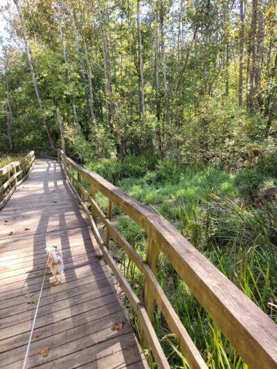 Sugar Hollow Park - Bristol, VA