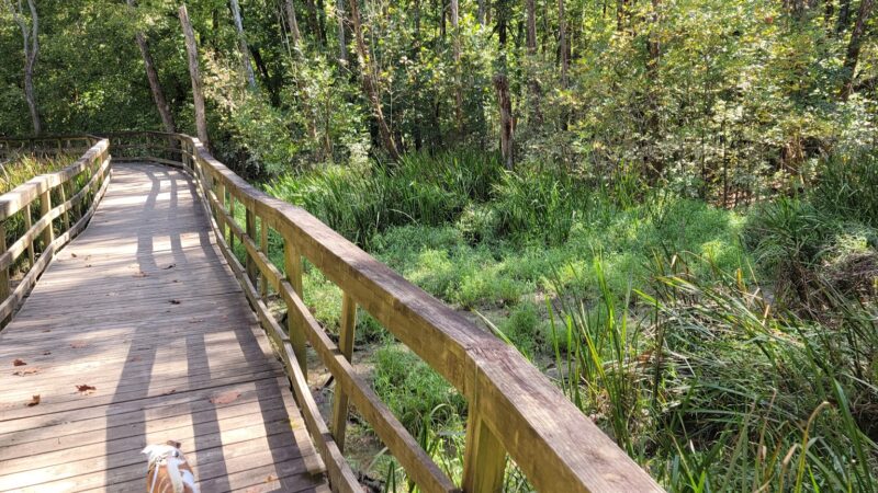 Sugar Hollow Park - Bristol, VA