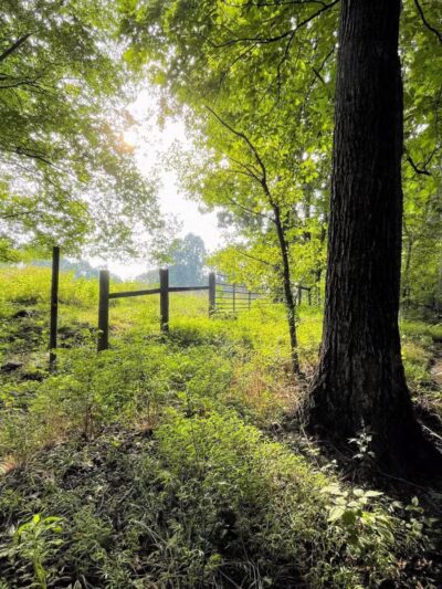 Sugar Hollow Park - Bristol, VA
