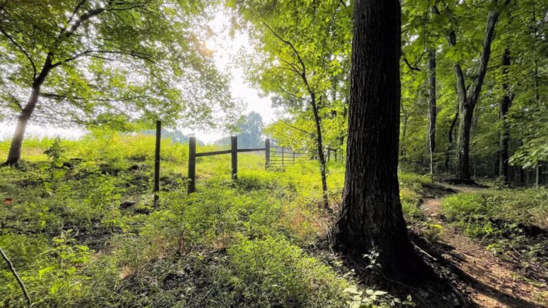 Sugar Hollow Park - Bristol, VA