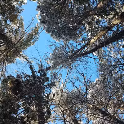 Big Aspen Trail - Britt, MN