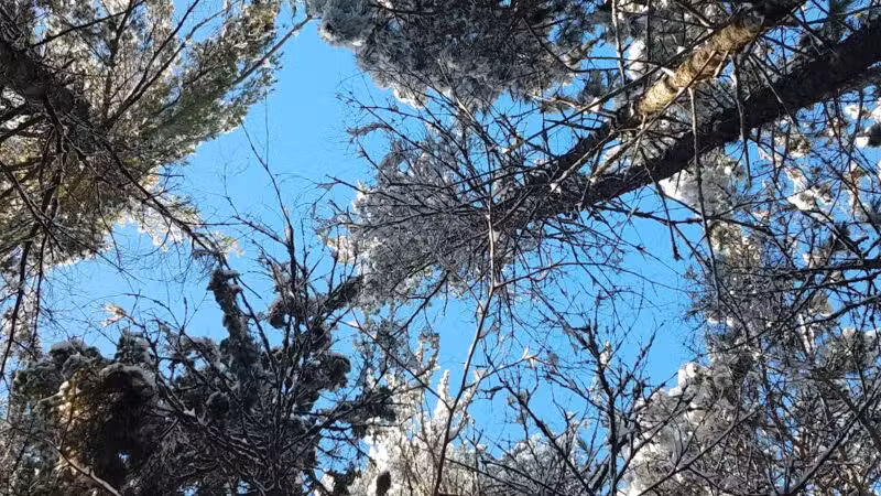 Big Aspen Trail - Britt, MN