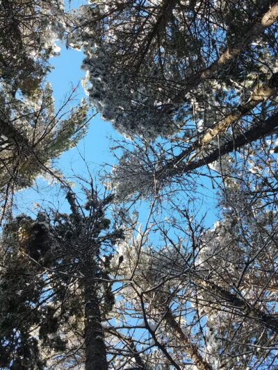 Big Aspen Trail - Britt, MN