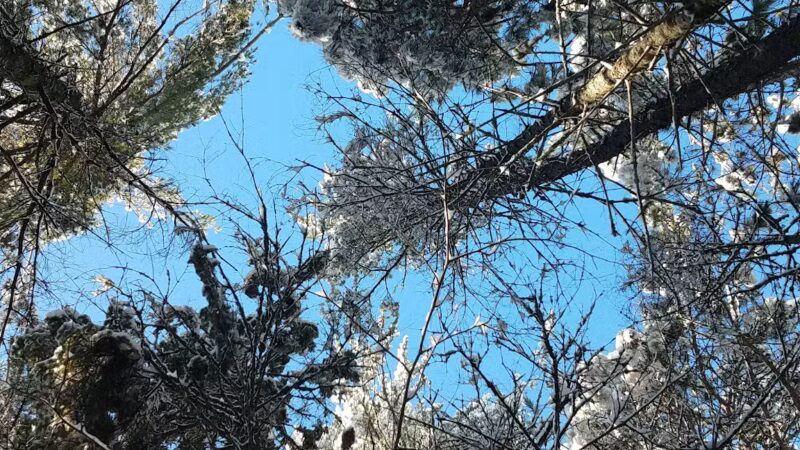 Big Aspen Trail - Britt, MN