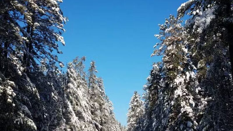Big Aspen Trail - Britt, MN