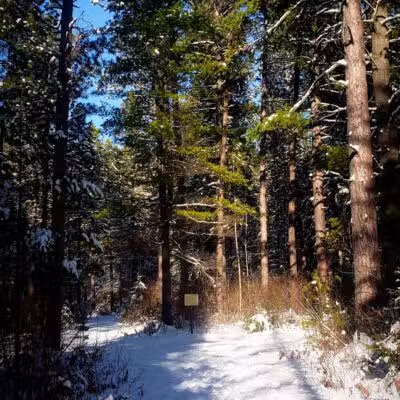 Big Aspen Trail - Britt, MN