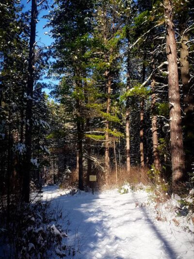 Big Aspen Trail - Britt, MN